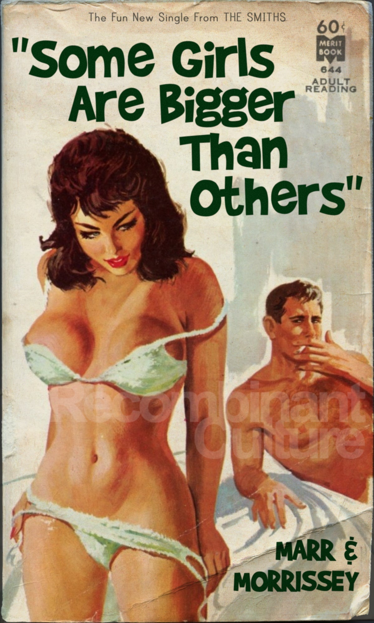 The Smiths 'Some Girls Are Bigger Than Others' Art Print - RecombinantCulture