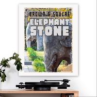 The Stone Roses-inspired 'Elephant Stone' v1 Art Print