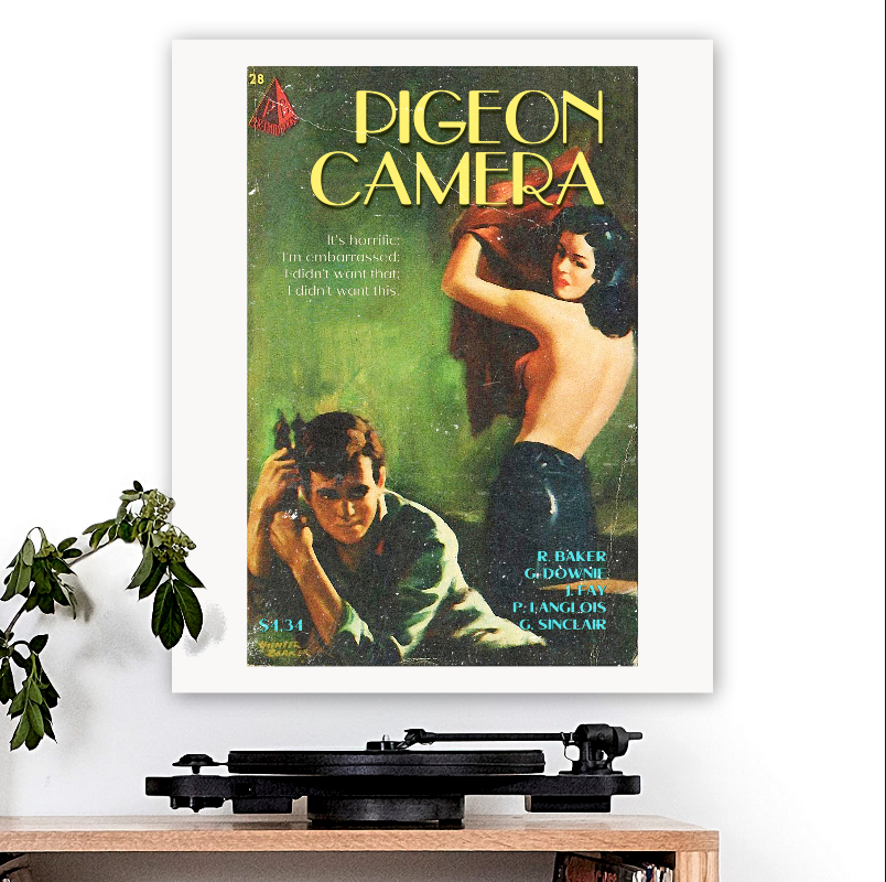 The Tragically Hip-inspired 'Pigeon Camera' Art Print