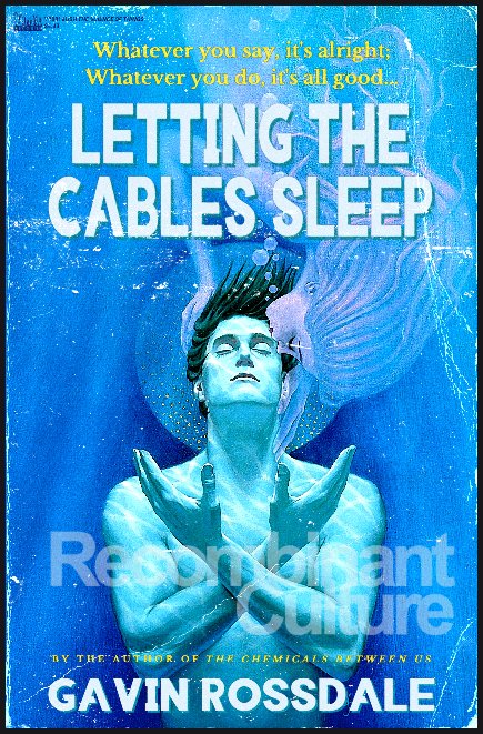 Bush 'Letting The Cables Sleep' v1 Art Print - RecombinantCulture