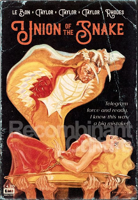 Duran Duran 'Union of the Snake' Art Print - RecombinantCulture